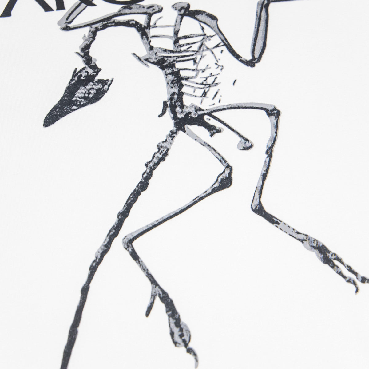 Arc'teryx Skeleton Bird Graphic Unisex T-Shirt